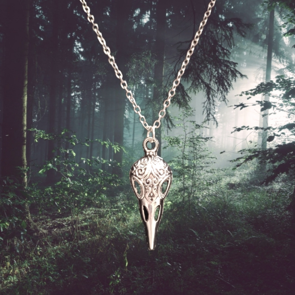 Steel Raven Skull w/ Chain